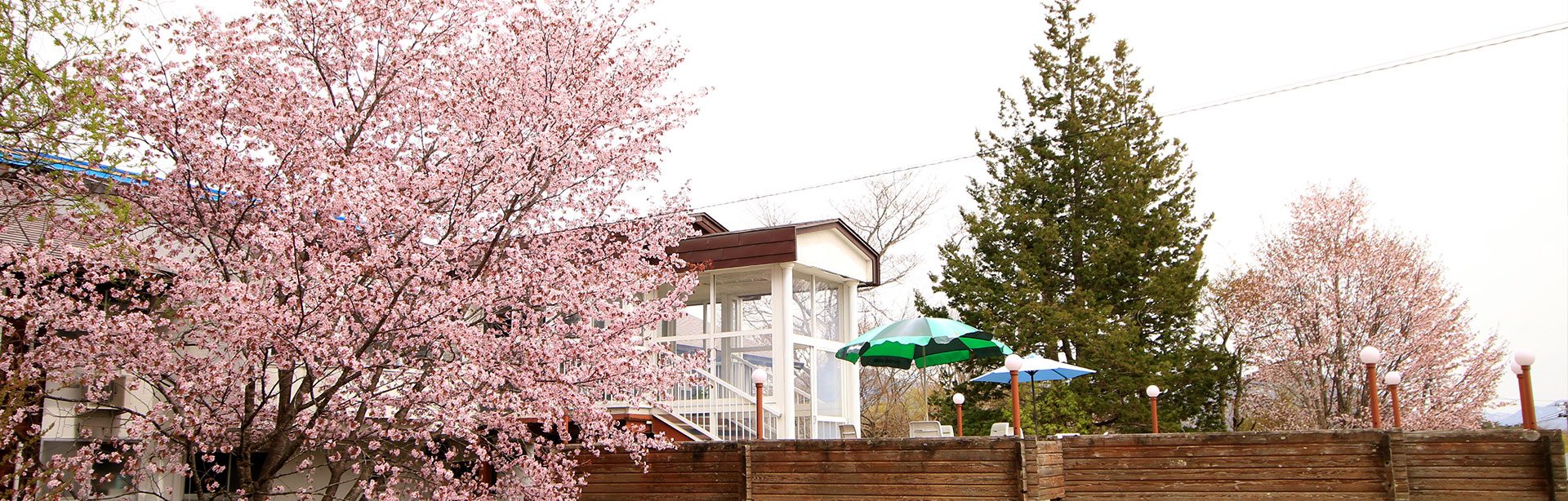 ご予約・プラン