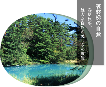 ????????????????????????