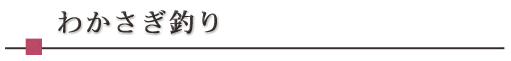わかさぎ釣り