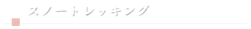 スノートレッキング