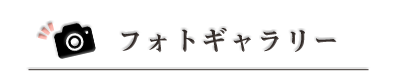 フォトギャラリー