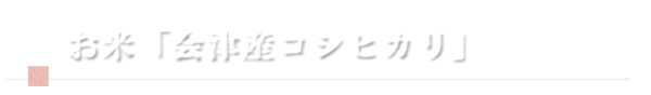 お米会津産コシヒカリ