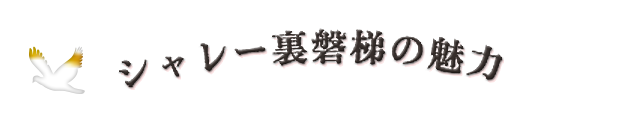 シャレー裏磐梯の魅力