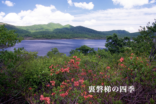 裏磐梯の四季