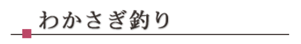 わかさぎ釣り